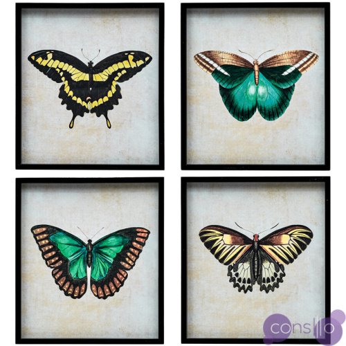 Комплект из 4-х постеров Большие Бабочки
