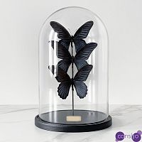 Статуэтка 3 Butterflies Papilio Memnon Glass Cloche