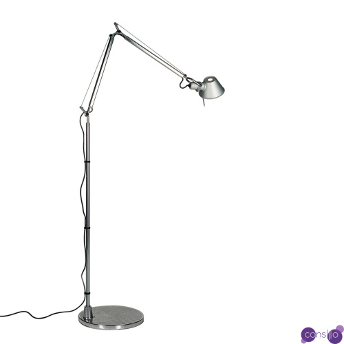 Напольный дизайнерский светильник Tolomeo Micro by Artemide