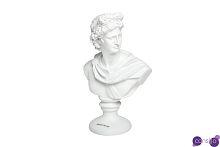 Статуэтка "Античный бюст" 20*30см