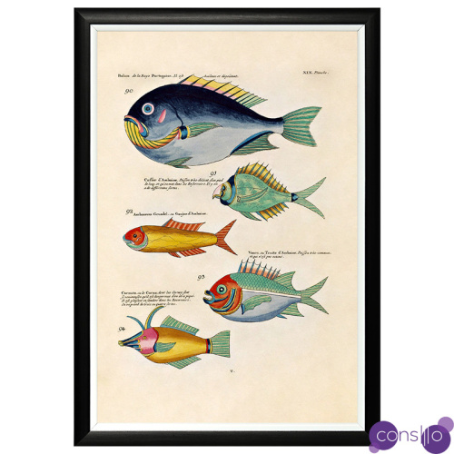 Постер в черной раме Fish Guide 12