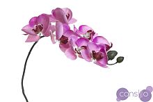 Орхидея розовая 8J-1219S0004