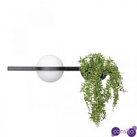 Настенный светильник c подставкой для живых растений Palma by Vibia small