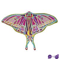 Картина “Spanish Moon Moth Butterfly Cut Out”