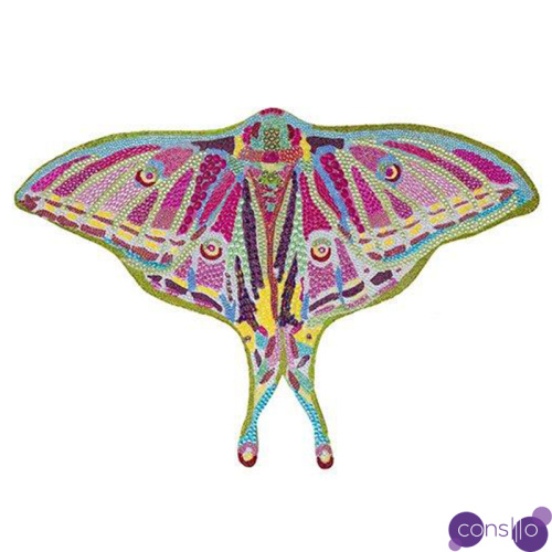 Картина “Spanish Moon Moth Butterfly Cut Out”