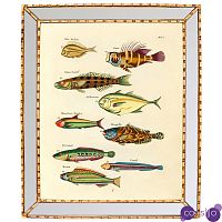 Постер в зеркальной раме Fish Guide 2